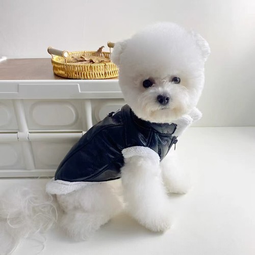 Chaqueta de cuero Fart Dog invierno caliente Chihuahua cachorros Reino Unido chaqueta de cuero 18 - Imagen 8 de 19