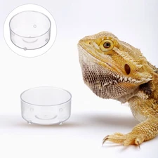 30 Pcs Transparent Multi Function Acrylic Reptile Food Bowls Water Dishes