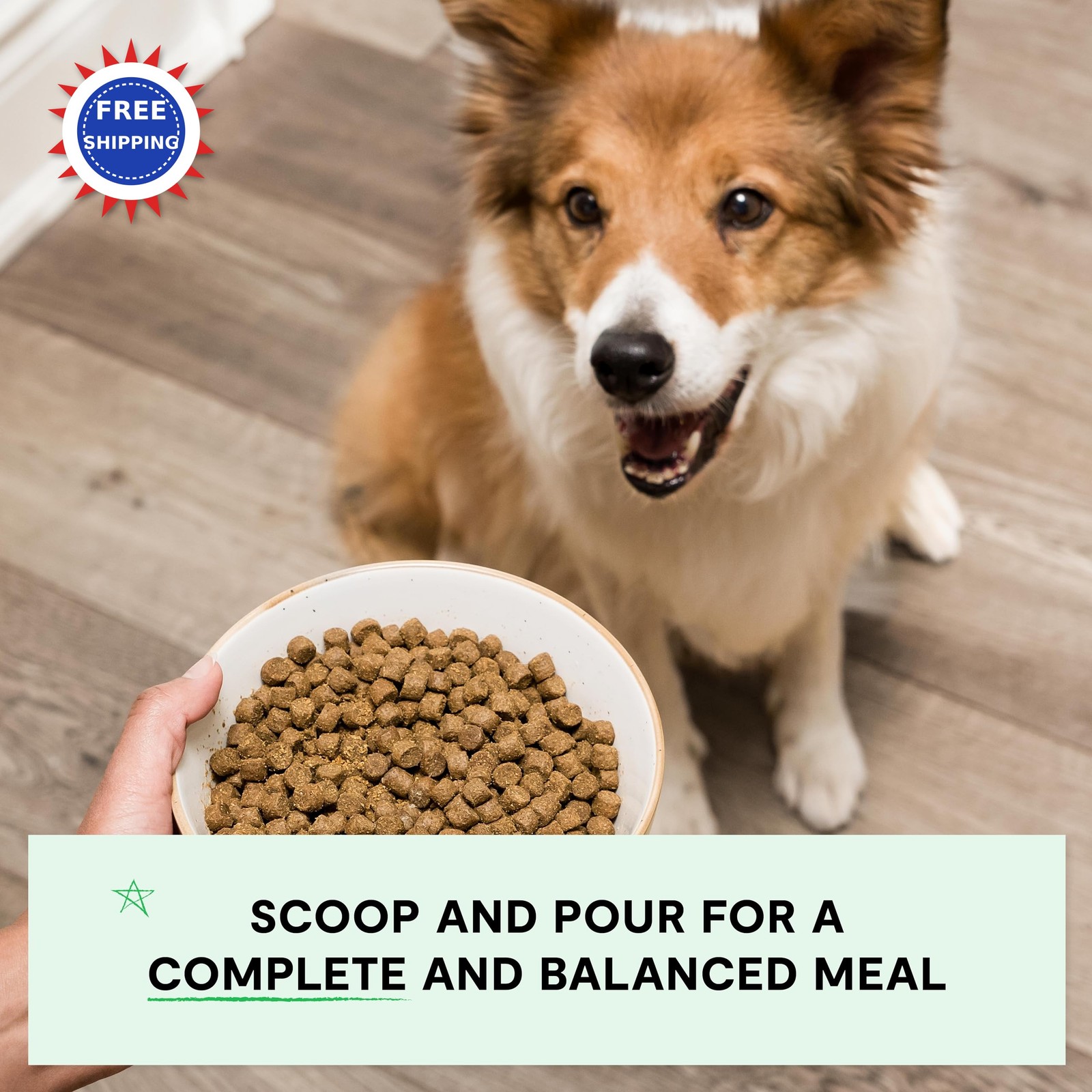 Grain Free Dry Dog Food 11lb Bag Complete Balanced Kibble Open Farm Beef Sourced thumbnail 4