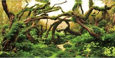Aquarium Background Branches Vinyl Fish Tank Poster 48 x 24 Inch