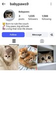 Instagram Page Business For Sale
