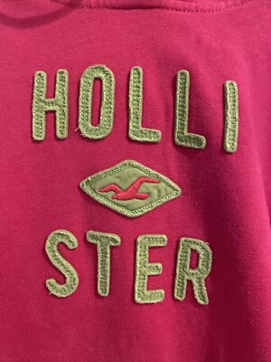 HOLLISTER Abercrombie *  Hoodie Hoody Sweatshirt  Kapuze * M 170 176 * pink grün