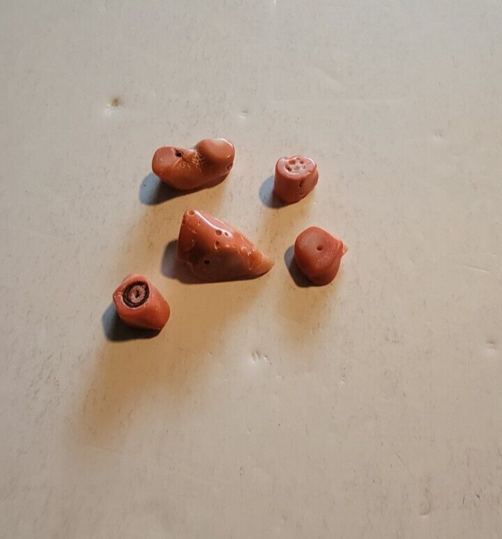 COLLECTIBLE VINTAGE RED CORAL PENDANT 5 PIECES 1/2" TO 1" (A2)