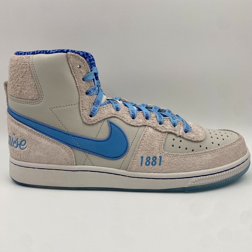 Size 10.5 M - Spelman College x Nike Terminator High