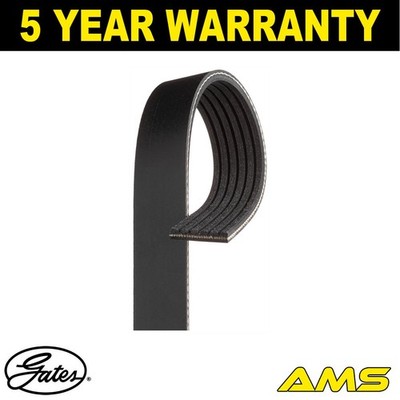 Fits Dacia Sandero Duster Logan MCV 1.5 dCi Drive Belt Gates 117201565R