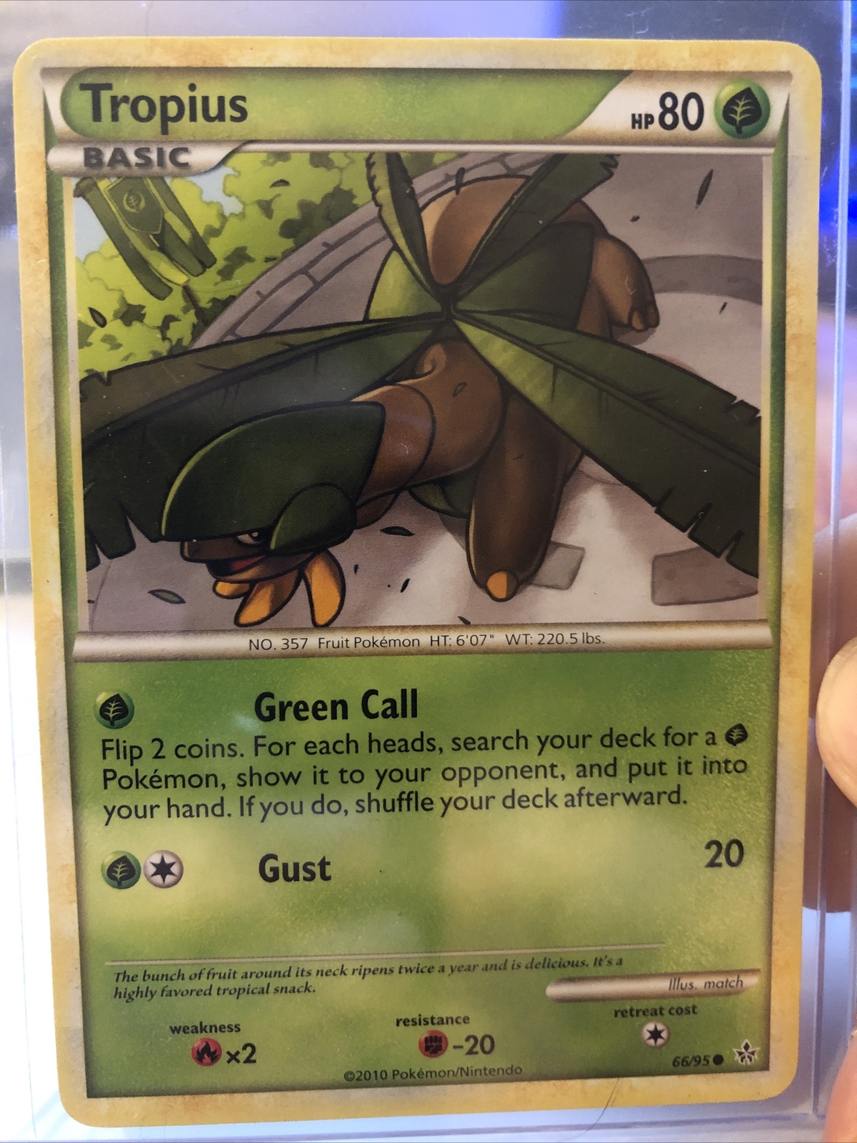 POKEMON TROPIUS 66/95 HS UNLEASHED COMMON LP To NEAR MINT