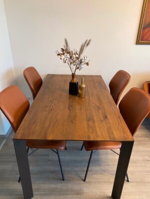 Designer Esstisch Phönix 160 cm x 90 cm, wie neu