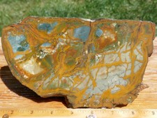 TCR Rocky Butte Picture Jaspe *Rough Slab 299g - Scenic Plumes | Oregon