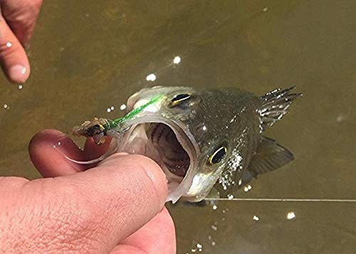 Fly Fishing Leader with Pre-Tied Loop, Tapered Fly Line Leader, Nylon, Clear,... - Picture 6 of 6