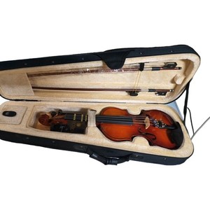 Cecilio Violin Cvn 300 | eBay