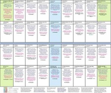 Häuserübersicht als Legeschablone zu den Kipperkarten | Angelina Schulze | Buch