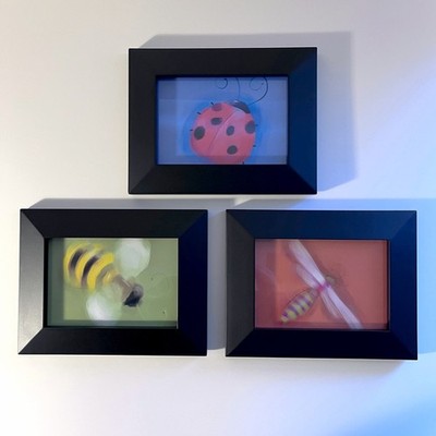 Set of Three Small Wall Art Frames with Illustrated Insect Theme Prints