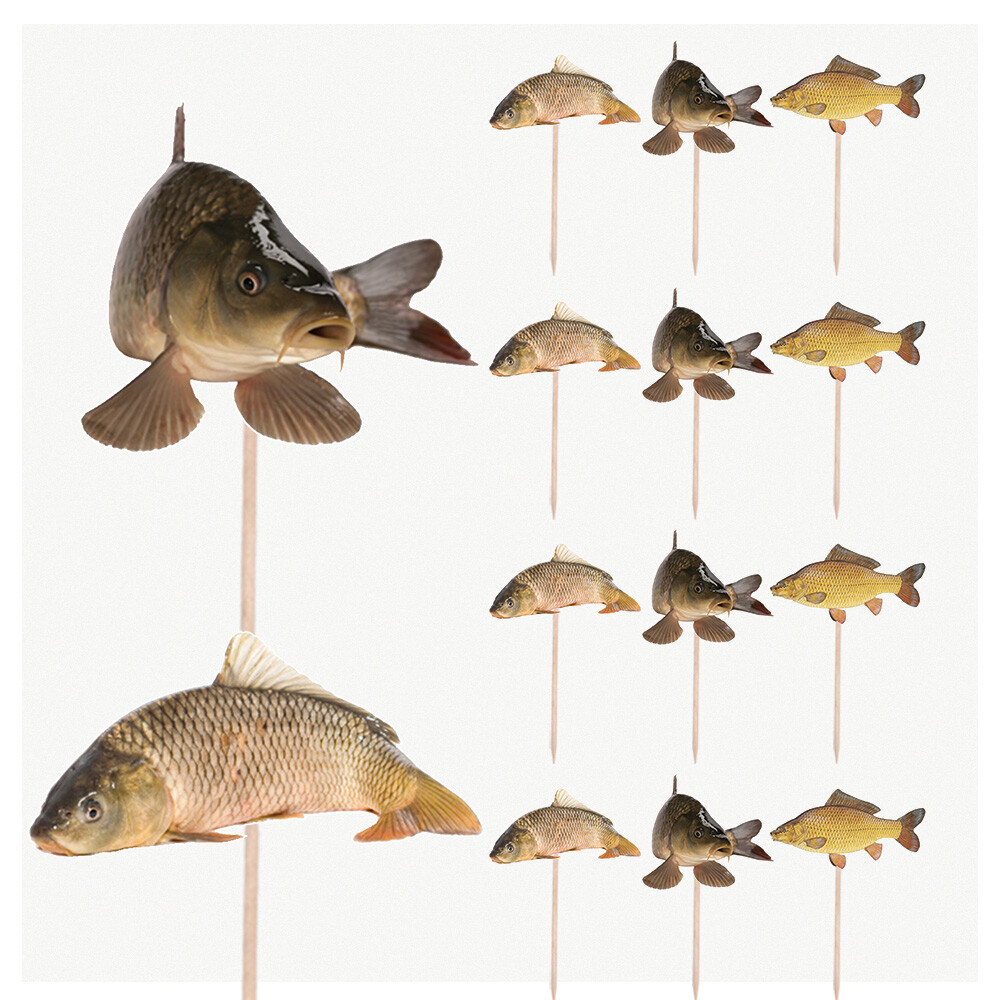 carp fishing fish edible birthday cupcake toppers decoration x 15