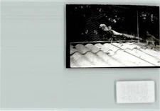 40065245 - 6732 Edenkoben Pheasant Southern Wine Route LKR