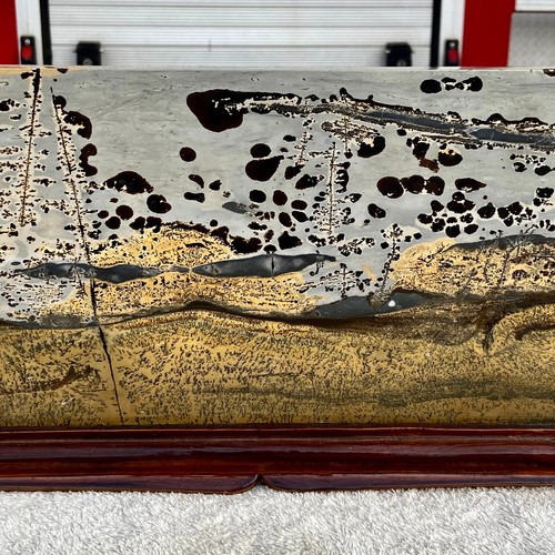 20.3LB Beautiful Natural Chinese Dendritic Limestone Picture Stone Guohua - Rare - Picture 7 of 17