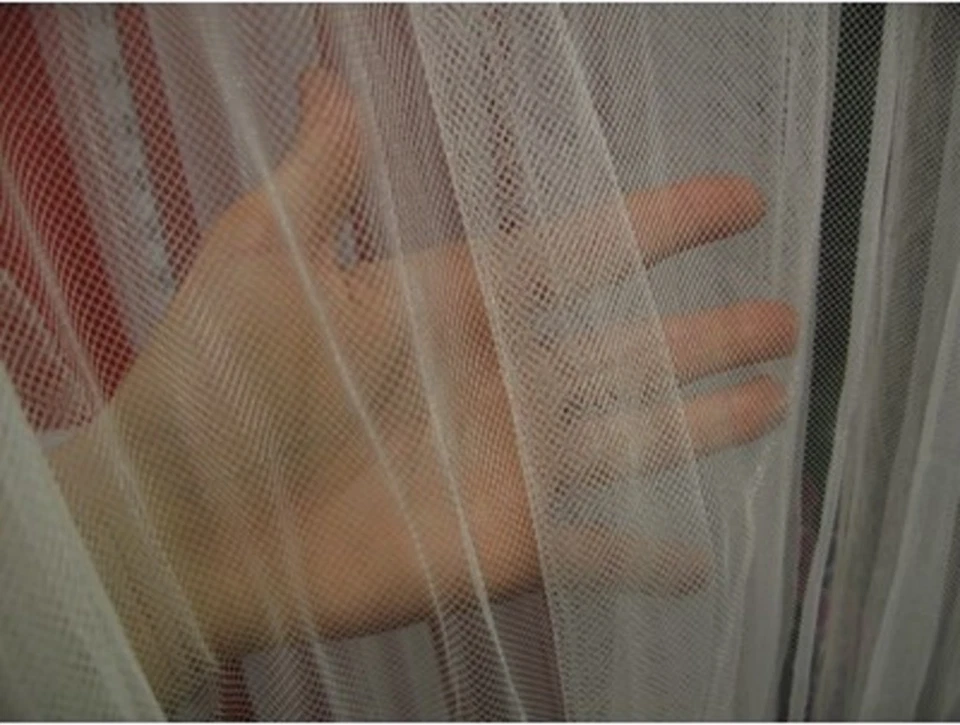 Nuevo IKEA LILL Cortinas Transparentes 4 Paneles - Cada Panel 110"x98" - USPS Priority Mail Foto 2 de 4