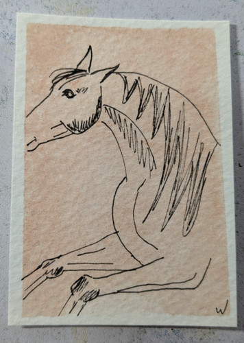 Wachtel ACEO Original Watercolor Ink Drawing Horse Miniature Art 2.5x3.5 Drawing