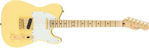 Fender-TELE-AMPRO-LTD-GOLD-Limited-Edition-American-Professional-Telecaster-wit