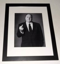 Framed James Gandolfini Tony Soprano "Flick Off" b/w 13"x16" Gangster Art