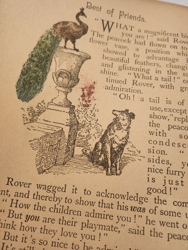 Best Of Friends - Vintage - 1904 - Childrens Stories Annual - Hardback - Picture 6 of 15