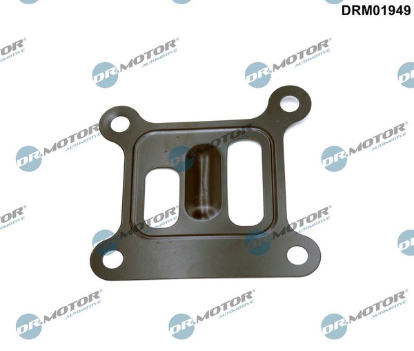 DRM01949 Dr.Motor Automotive Dichtung, Wasserpumpe FüR Ford,Jaguar-image