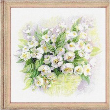Jasmine Dreams Watercolor Cross Stitch Kit - 11" x 11"  14 ct. White AIDA  21