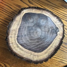 Walnut tree  7  10  Round  1 inch Thick  Live Edge Craft Wood Slices