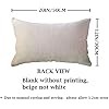 Farmhouse Lumbar Pillow Cover 12x20 Beige