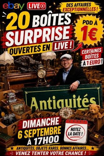 20 boites surprises Antiquité Objets Rare Bonnes Affaires
