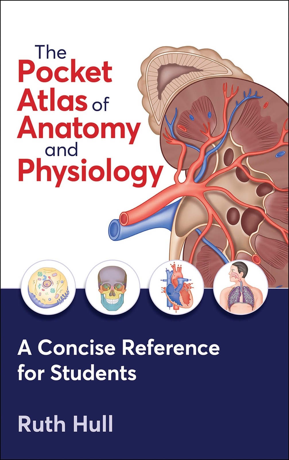 The Pocket Atlas of Anatomy and Physiology. Hull Free Shipping** - Image 5