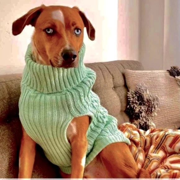 Turtleneck sweater cheap dogs