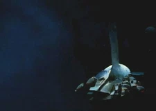 #71 John Berkey Fantasy/Sci-Fi Trading Card