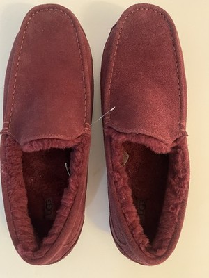 UGG Men's AscotSheepskin SlipperLoafers men       Size 18