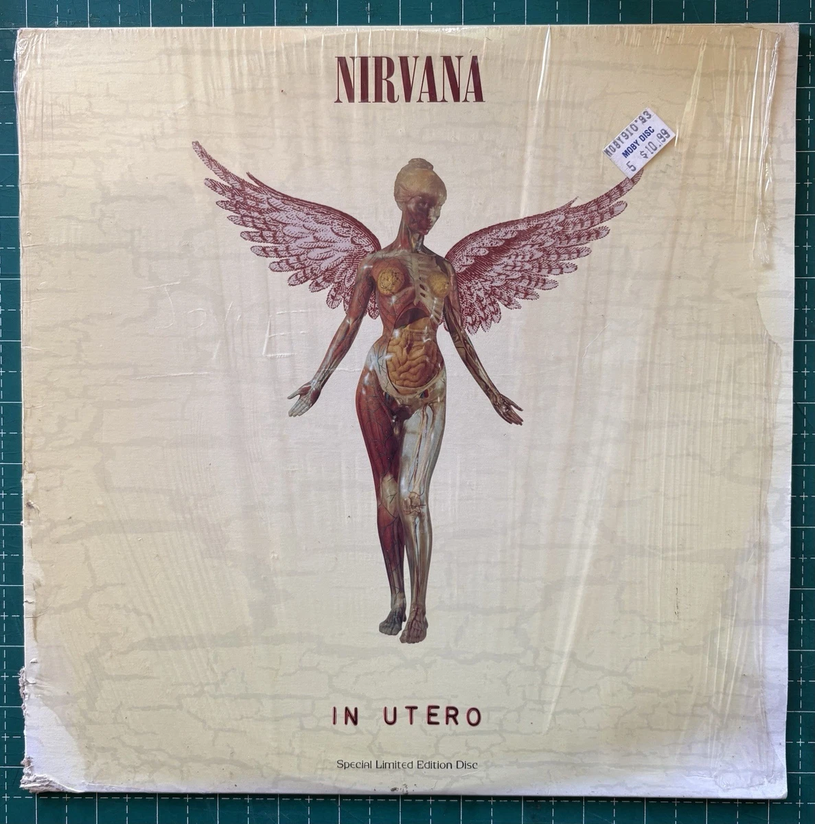 nirvana in utero products for sale | eBay