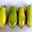 Indexbild 3 - Tomaten Samen Green Wurst gestreift Tomate Bio NON GMO Ukraine 20 Samen D