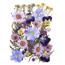 33pcs Dried Pressed Flowers for Crafts Resin DIY Art Natural Dry Floral Pansy...