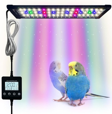 Full Spectrum Bird Cage Lamp Timed Natural Environment