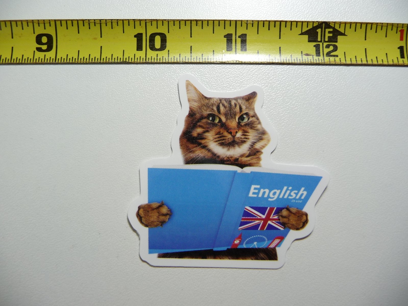 Studious English Cat Decal Sticker for Pet Lovers