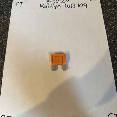 (1) MTA 0700920 MaxiVAL Fuse 40A, Orange, Sold Individually