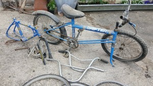 ebay raleigh grifter