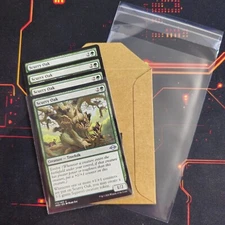 Scurry Oak  x4 - Magic: The Gathering - MH2 | SECURE SHIPPING