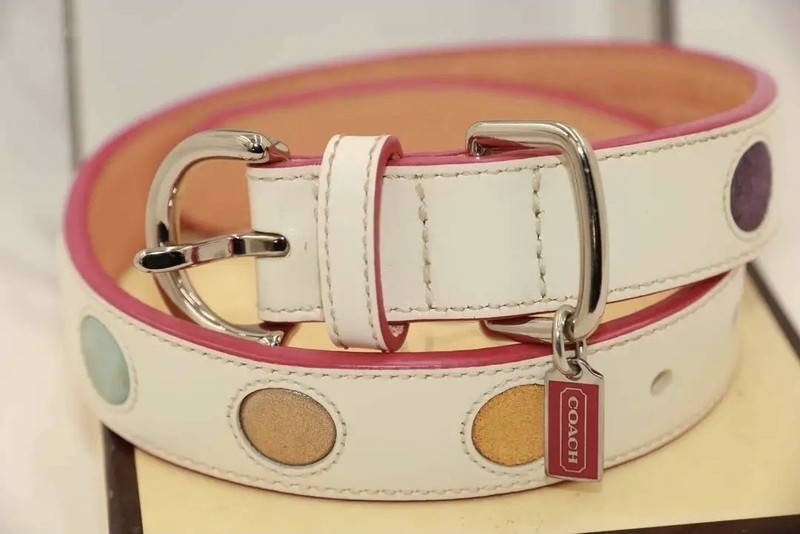 Vintage Coach Leather Dog Collar & Leash, Signature Polka-dot Large 17-21in 2004