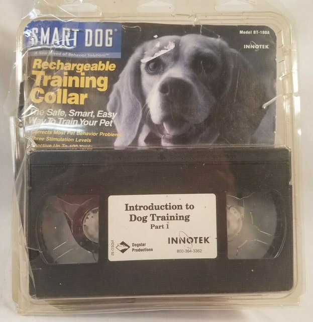 innotek training collar