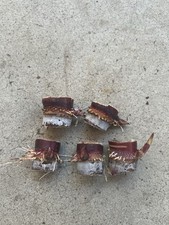 5pcs Rooted Dark Purple Sugarcane Cutting Sweet And Juicy Ready To Plant