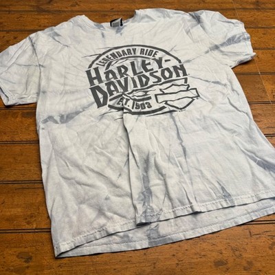 Harley-Davidson Eureka Springs Arkansas Tie Dye Graphic T-Shirt XL Blue Grey