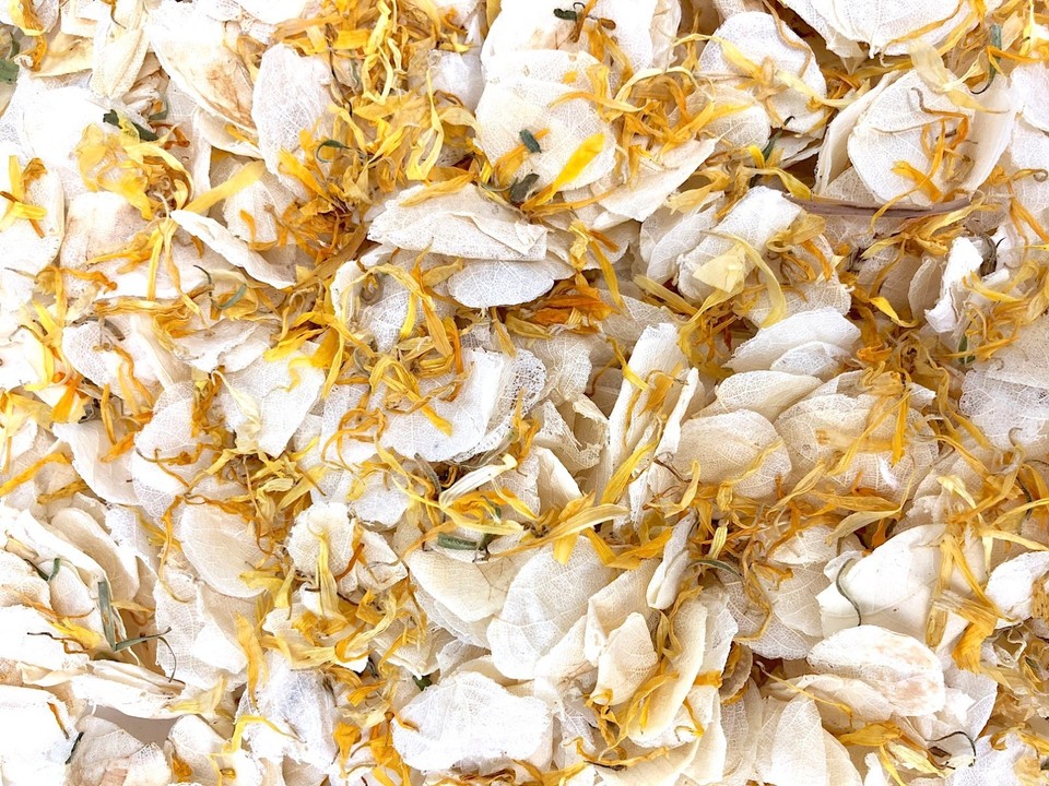 Dollz Confetti Petals Biodegradable Wedding Confetti - Real Dried Petals In Ivory & Mixed Colors Flower Petals - Foto 9