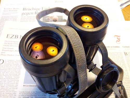 Carl Zeiss Jena EDF 7x40 NVA Fernglas Binoculars Top Angebot - Bild 7 von 9