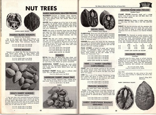Fruit Plants & Trees Catalog & Planting Guide 1967-68 Bountiful Ridge Nurseries - Picture 7 of 8