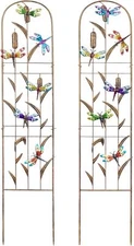 Set of 2 Dragonfly Metal Garden Trellis for Climbing Plants, Decorative Veget