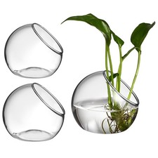 3pcs Glass Terrarium Vases for Plants Stylish Desktop Planters for Home Offic...